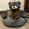 image 5 Soft Bear Bed for Pets - Cozy & Plush Sleeping Spot for Dogs & Cats with Adorable Design - Comfortable & Durable