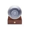 Frame 21 3D Dandelion Crystal Ceiling Light Fixture - Modern Decorative Lighting for Living Room & Bedroom
